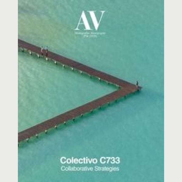 Colectivo C733