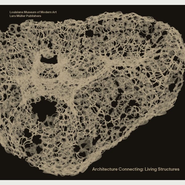 Architecture Connecting