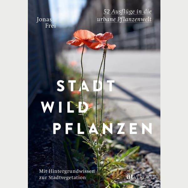 Stadtwildpflanzen
