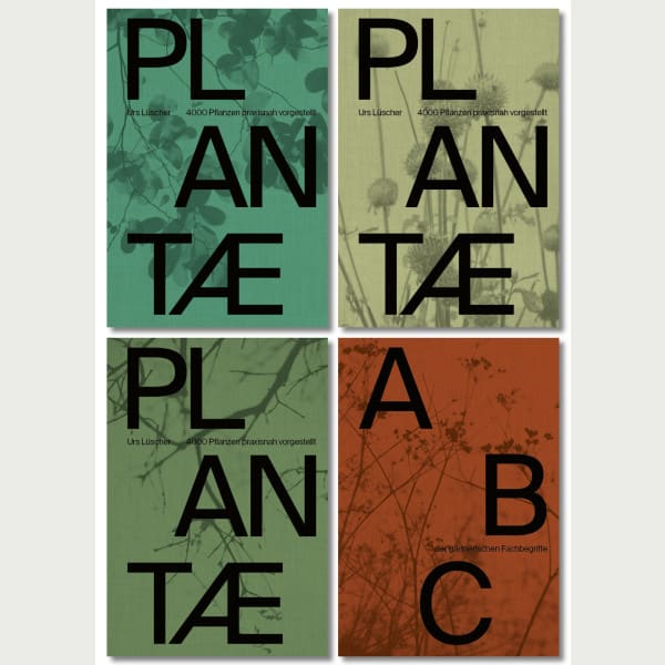 Plantae