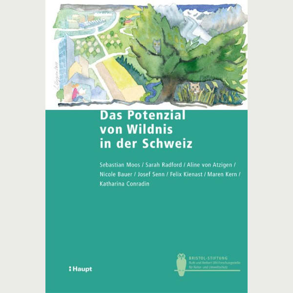 Das Potenzial von Wildnis in der Schweiz
