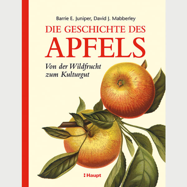 Die Geschichte des Apfels