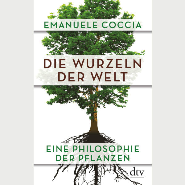 Die Wurzeln der Welt