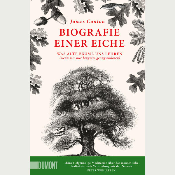 Biografie einer Eiche