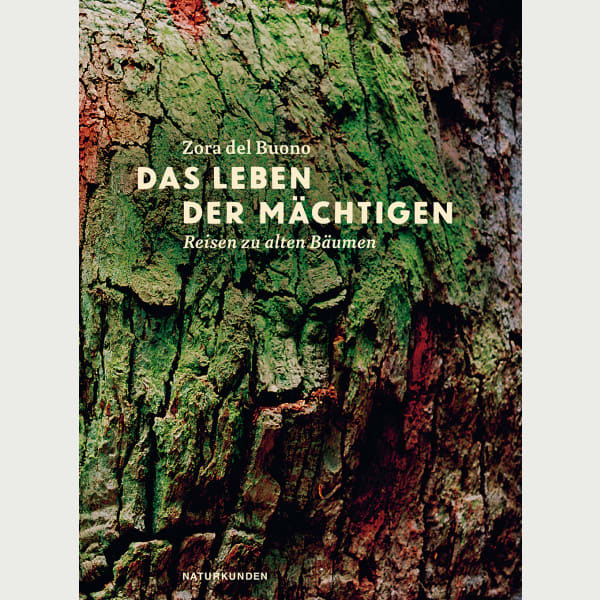 Das Leben der Mächtigen