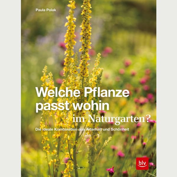 Welche Pflanze passt wohin
