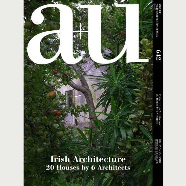 Irish Architectue
