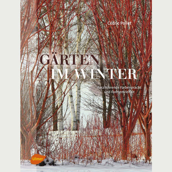 Gärten im Winter