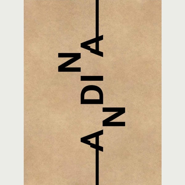 ANDINA