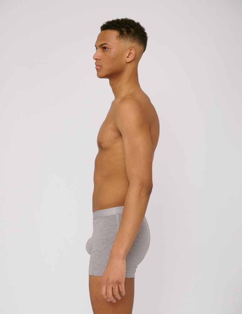 OrganicCotton Boxers 2pack grey