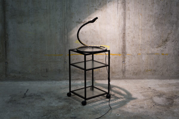 Ingo Maurer — Alizz T. Cooper — ETOZ Galerie für Design