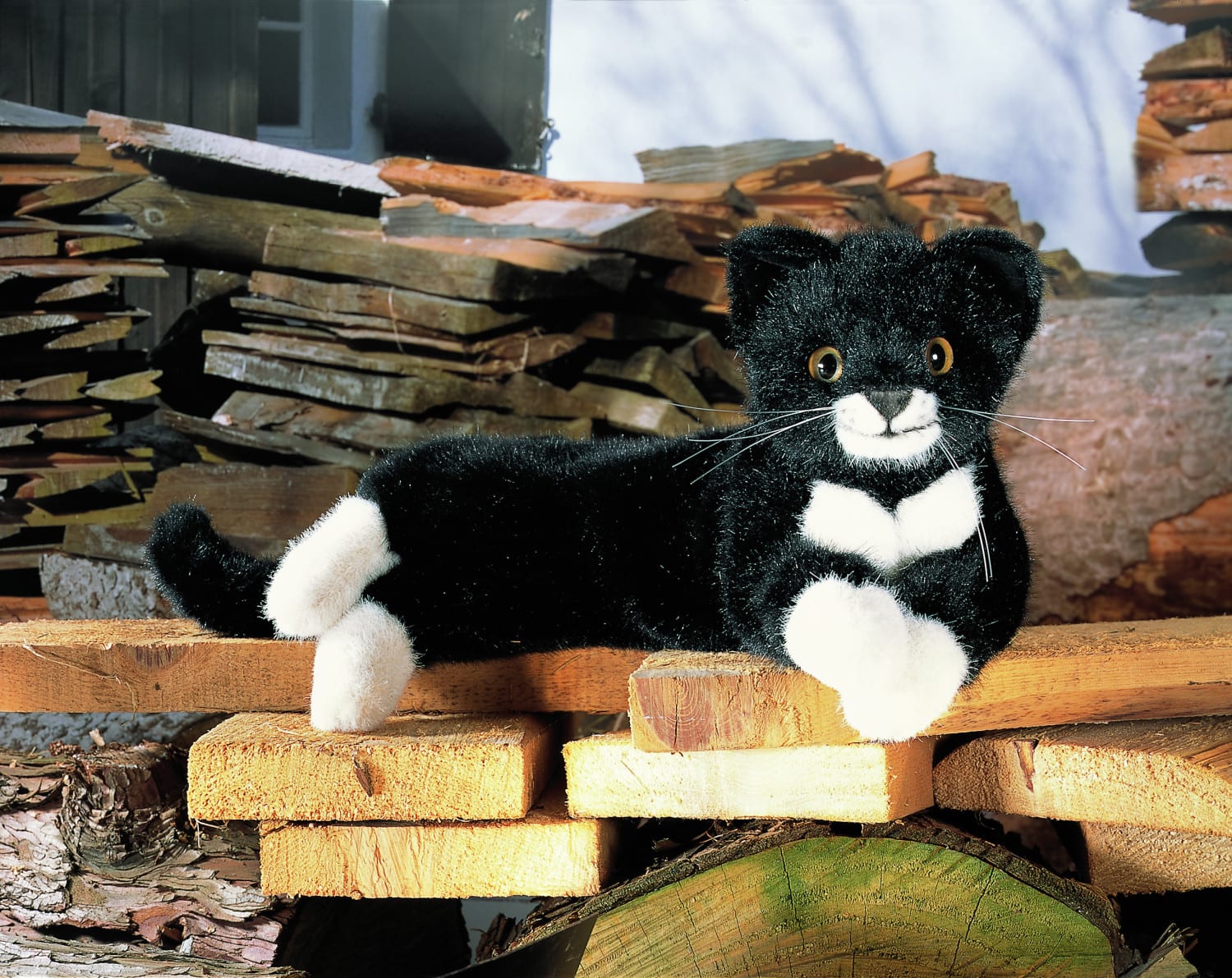 Kleine Katze «Fini», liegend