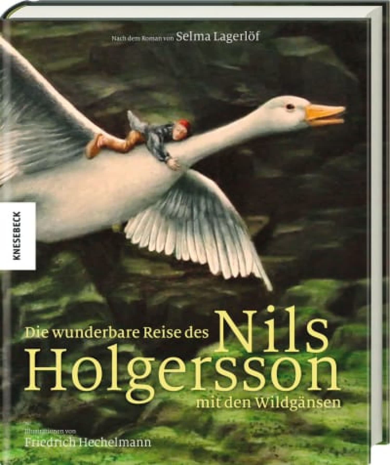 Die wunderbare Reise des Nils Holgersson mit den Wildgänsen