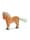 Haflinger