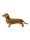 Lovi Dachshund