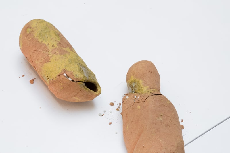 LW Resonances Of The Transient 0108