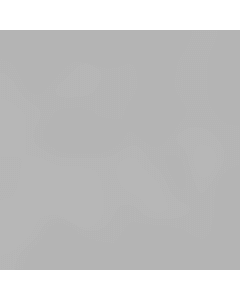 Plakat Grossmünster mit Schwan