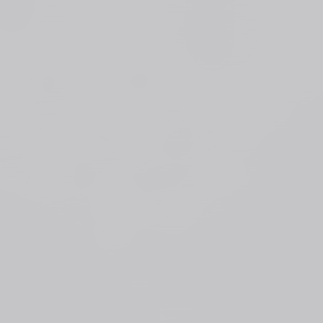 Blaupausenlösung + Heft