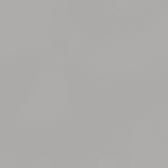 Gestickte Katzen-Taschentücher aus Bio-Baumwolle