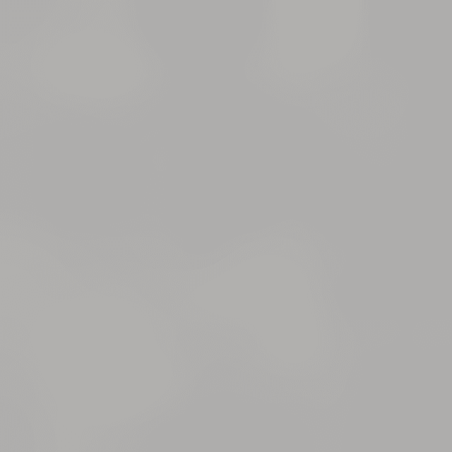 Gesichtsöl-Absorptionspapier MIDAREGAMI