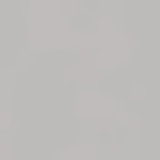 Chamois Paper Ingres-Block von Fabrikat