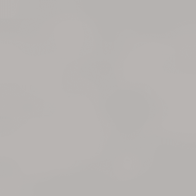 Kleine Blüten-Schale (Messing geschwärzt)