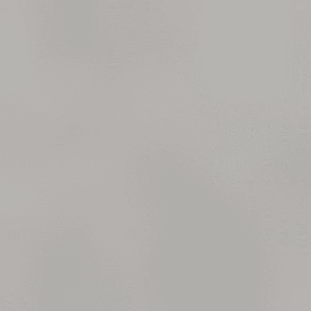 Schuhbürste aus Buchenholz