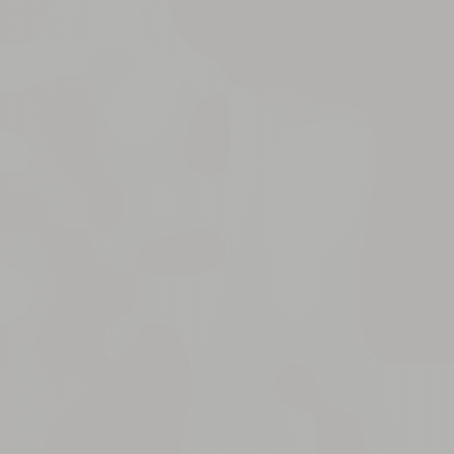 Multifunktionsstift Ohto MS02