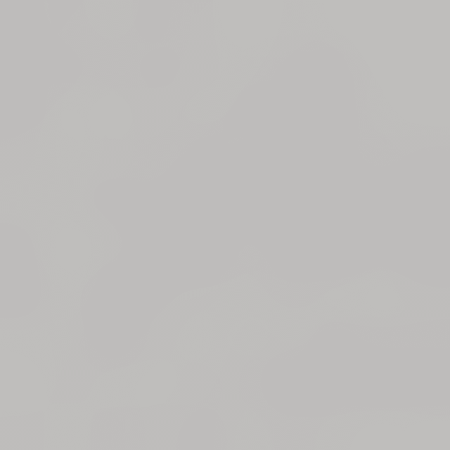 Langes Stifte-Etui aus Japan