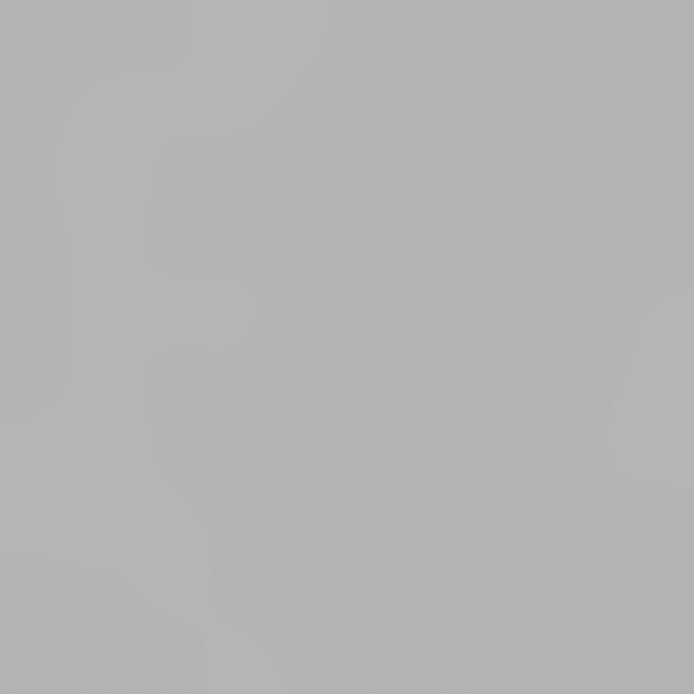 Japanische Notizbücher A5 & A6