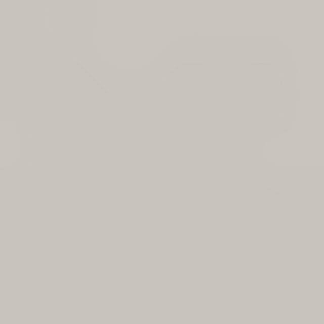 Edler Reisebegleiter aus Leder (olive)