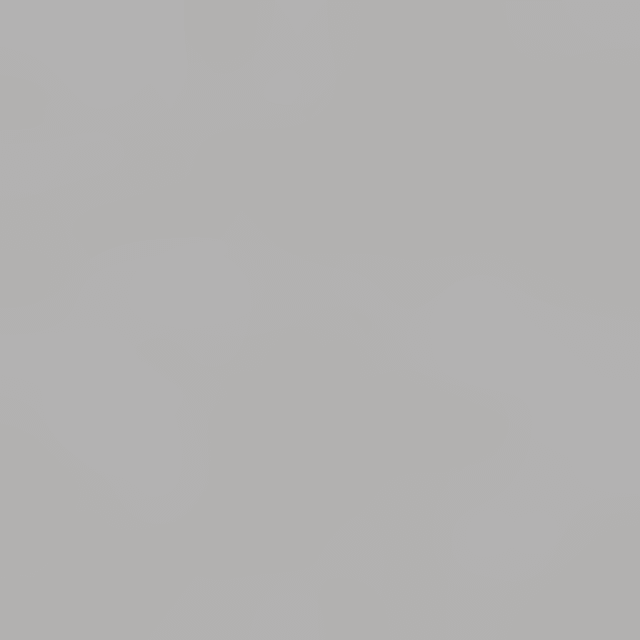 Extralanger Schuhlöffel (schwarz)