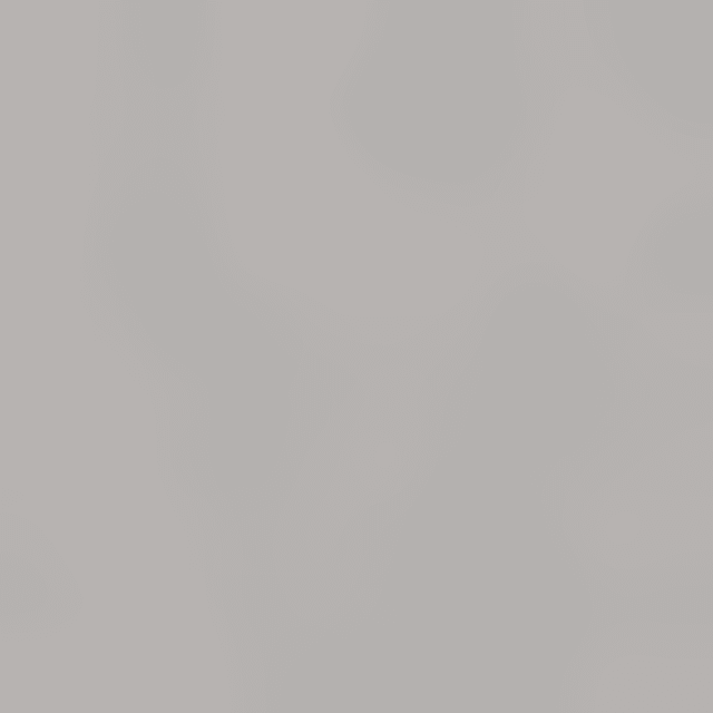 Mini-Kombizange T-305S