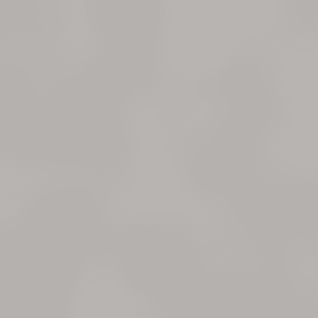 KEIBA Radiozange T-346