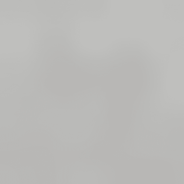 Japanisches Visitenkartenetui (Messing)