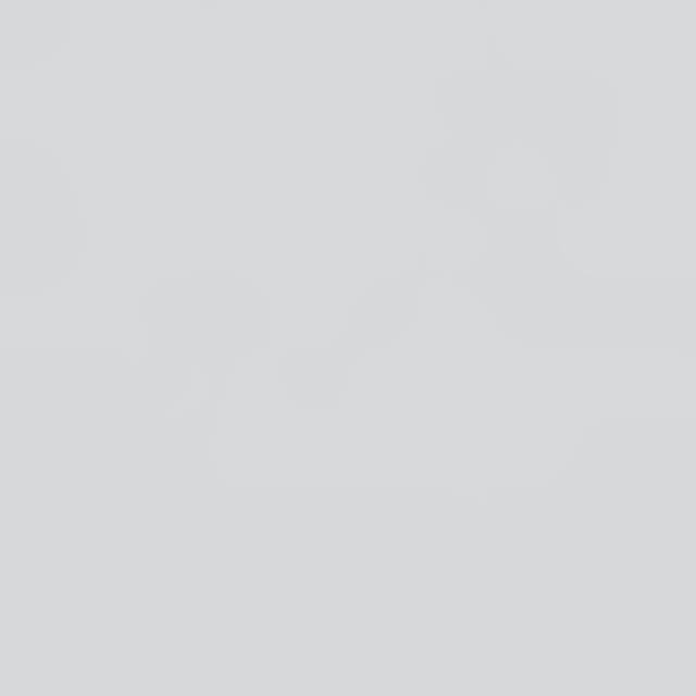 Trinkflasche aus hochwertigem 18/10 Edelstahl (dunkelgrün)