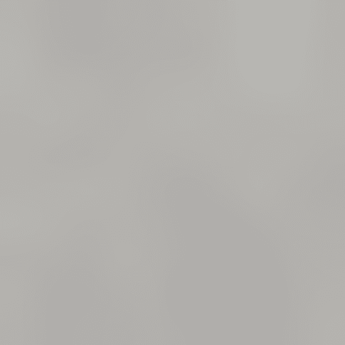 Schuhbürste aus Buchenholz