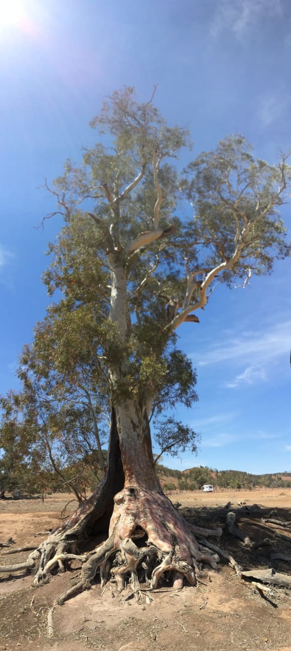 South Australia Experience - Australia custom trip | Baboo Travel