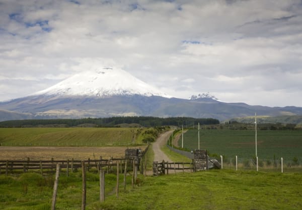 Enchanted Ecuador: Rainforest, Andes, and Culture 9D/8N - 6