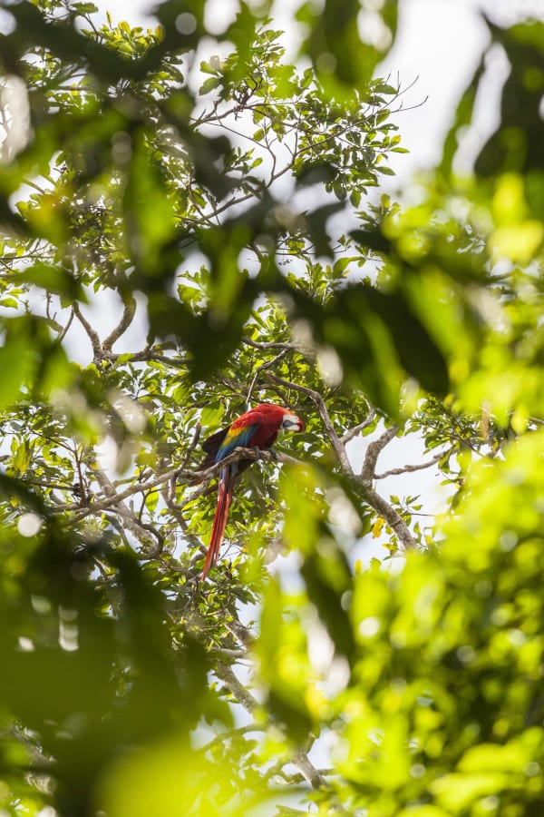 Enchanted Ecuador: Rainforest, Andes, and Culture 9D/8N - 16