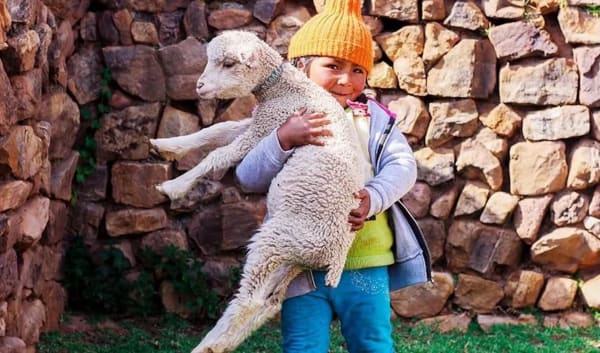 Lares Trek to Machu Picchu 4D/3N - 21