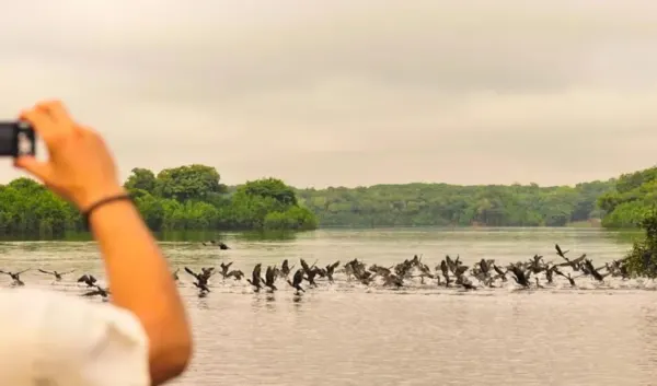 Manaus Amazon Jungle Adventure 5D/4N - 32