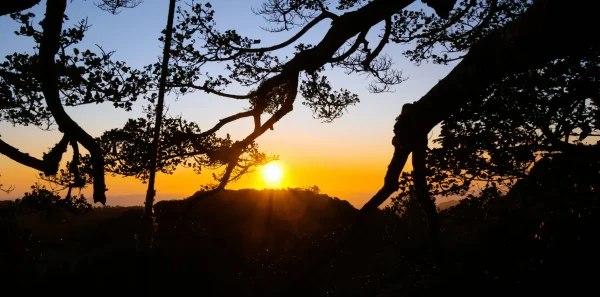 Manaus Amazon Jungle Adventure 5D/4N - 33