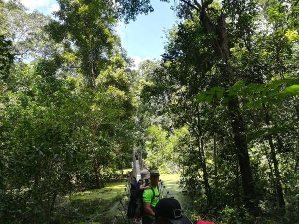 Puerto Maldonado Amazon Eco-Lodge 5D/4N (from Cuzco) - 18