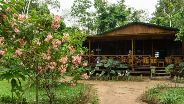 Puerto Maldonado Amazon Eco-Lodge 5D/4N (from Cuzco) - 29