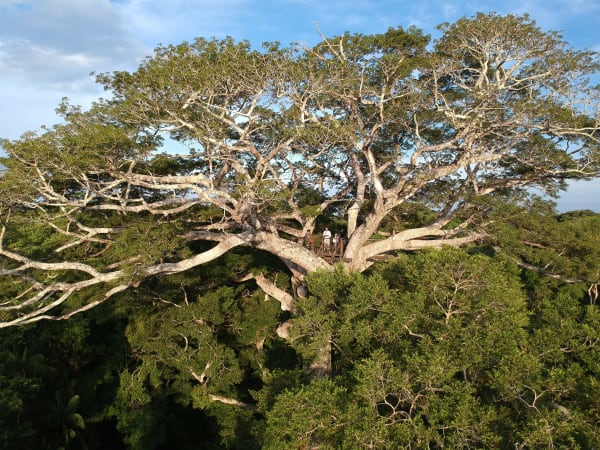 Puerto Maldonado Amazon Eco-Lodge 5D/4N (from Cuzco) - 24