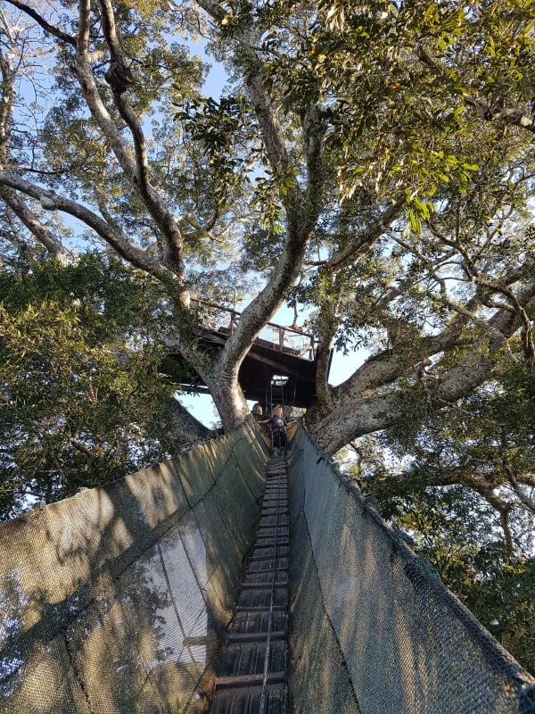 Puerto Maldonado Amazon Eco-Lodge 5D/4N (from Cuzco) - 21