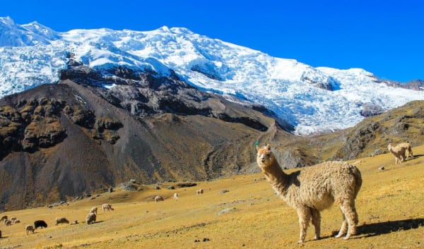 Ausangate Trek 4D/3N - 16