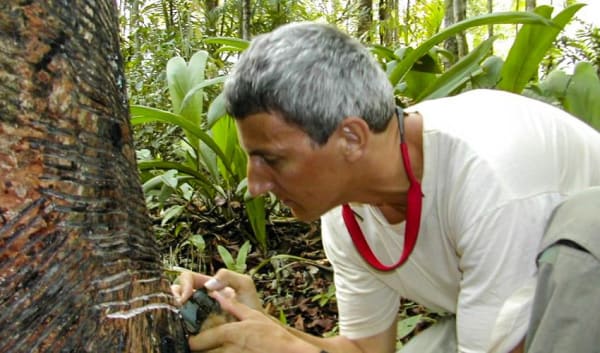 Manaus Amazon Jungle Adventure 5D/4N - 7