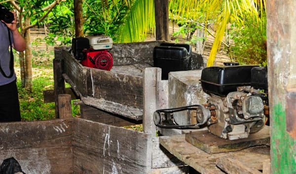 Manaus Amazon Jungle Adventure 5D/4N - 10